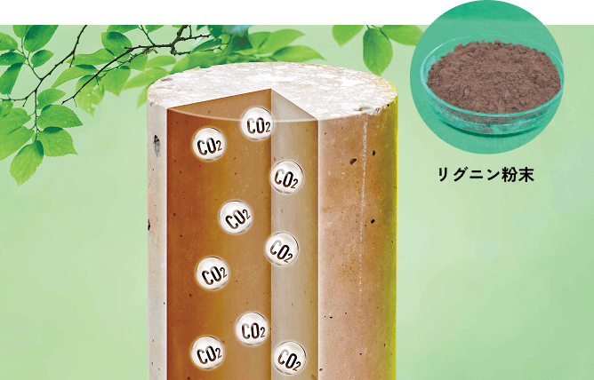 リグニン粉末