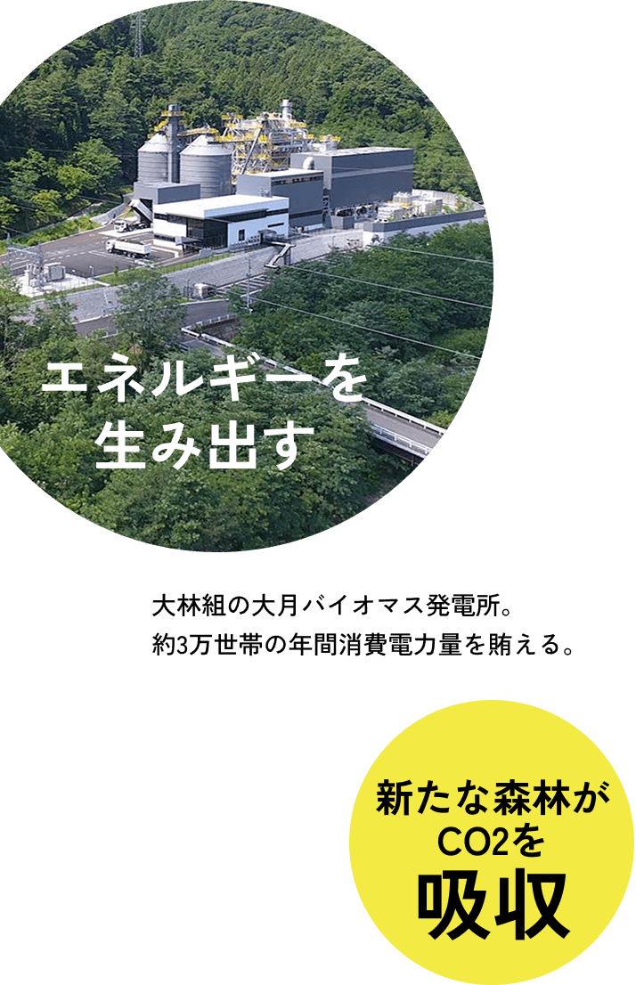 エネルギーを生み出す 大林組の大月バイオマス発電所。約3万世帯の年間消費電力を賄える。 新たな森林がCO2を吸収