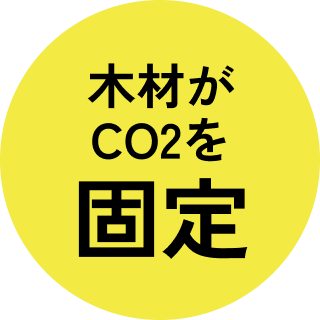 木材がCO2を固定