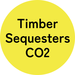 Timber Sequesters CO2